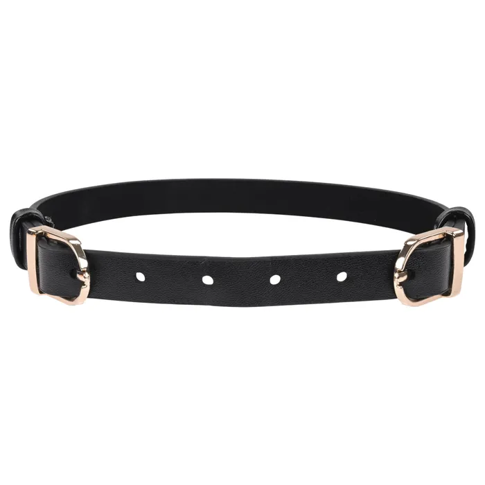 Couples | Sportsheets Sex & Mischief Double Buckle Day Collar-(ss09854)