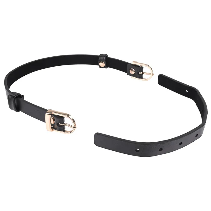 Couples | Sportsheets Sex & Mischief Double Buckle Day Collar-(ss09854)