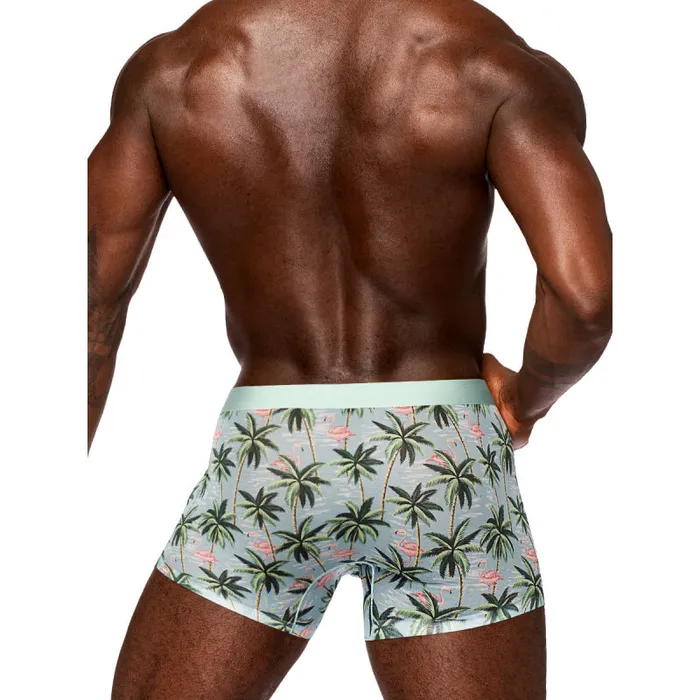 Male Power Hosiery | Sheer Prints - Seamless Sheer Short - Large - Flamingo