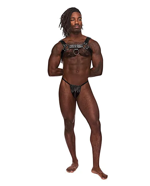 Male Power Lingerie Male Sex Toys Mens Male Power Leather Aries Single Ring Harness Black Os