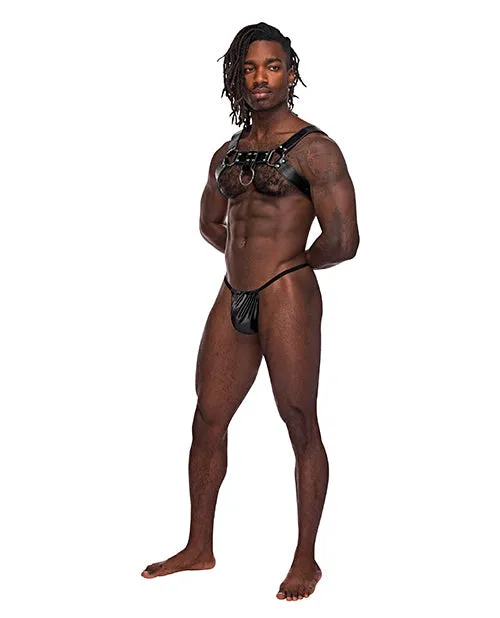 Male Power Lingerie Male Sex Toys | Men's Male Power Leather Aries Single Ring Harness Black O/s