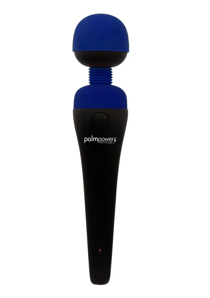 Female Sex Toys Palmpower Palmpower Recharge Massager