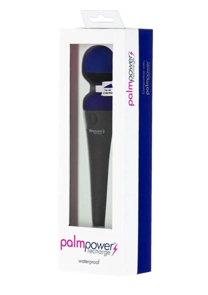 Female Sex Toys Palmpower Palmpower Recharge Massager