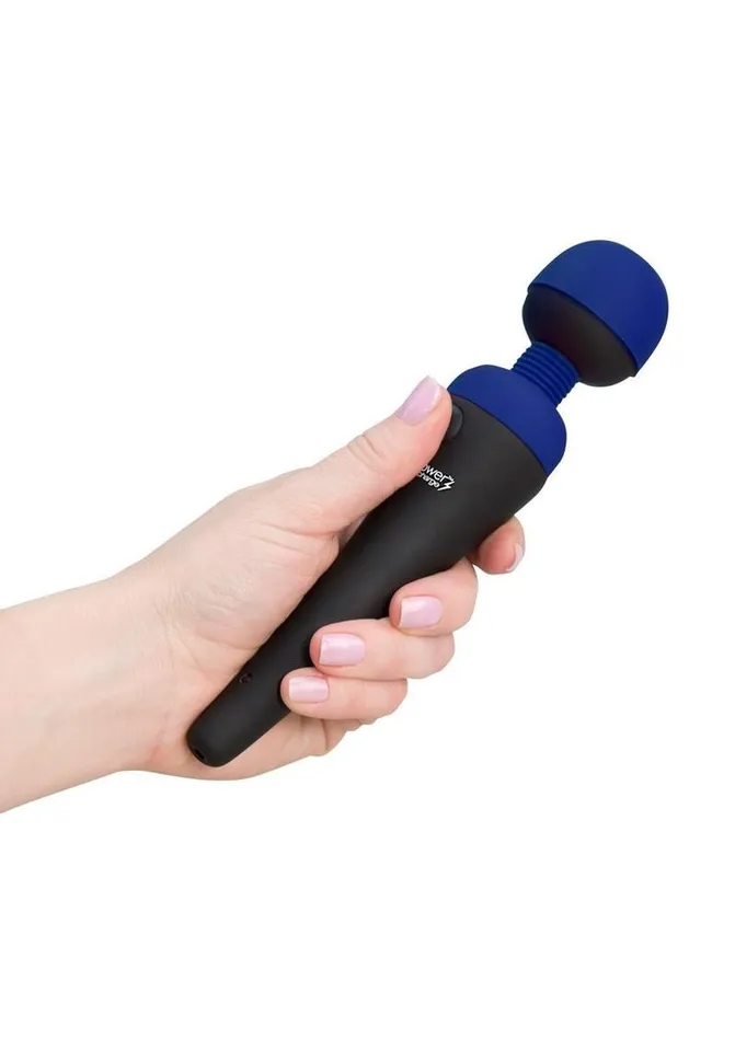 Female Sex Toys Palmpower Palmpower Recharge Massager