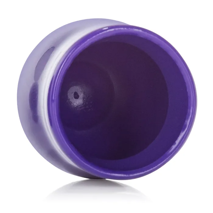 Nipple Play Mini Nipple Suckers Purple California Exotic Vibrators