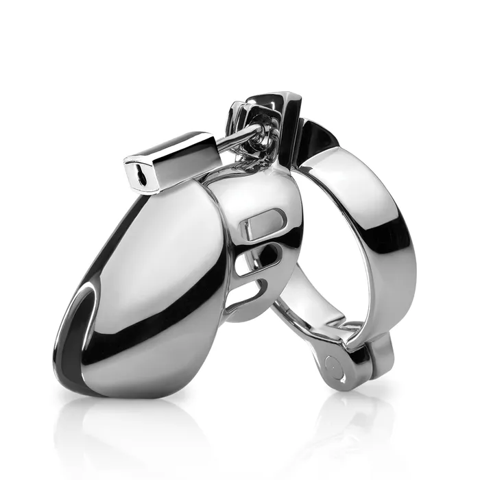 Pipedream Male Sex Toys PipeDream Metal Worx Chastity Head Cage