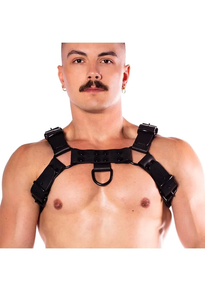 Prowler Red Vibrators Prowler Red Noir Harness Premium