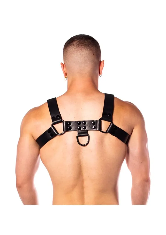 Prowler Red Vibrators Prowler Red Noir Harness Premium