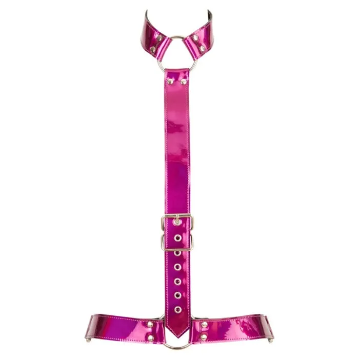 GRO Vibrators Bad Kitty Waist Harness and Collar Pink