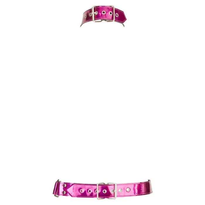 GRO Vibrators Bad Kitty Waist Harness and Collar Pink