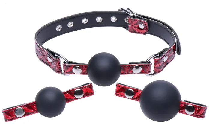 Triad Interchangeable Silicone Ball Gag XR Brands Master Series Male Sex Toys