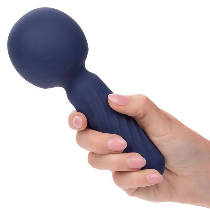 Vibrators CalExotics Charisma Seduction Blue