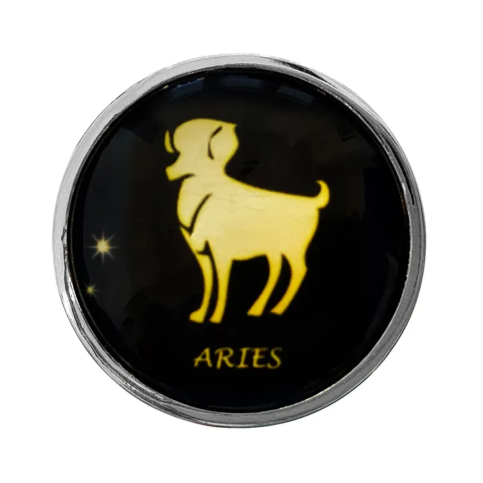 Zodiac Stainless Butt Plug Aries BUM FUN Anal